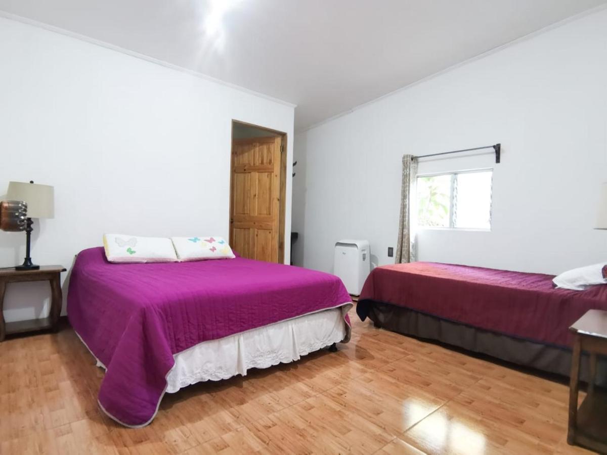 Casita Happy Feet And Tours Corcovado Hotel Drake Bay Exterior photo